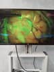 Slider image (10) Assoc. Prof. Dr. Tolga Turan D